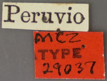 Media type: image;   Entomology 29037 Aspect: labels 2